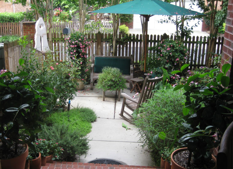 Patio landscape